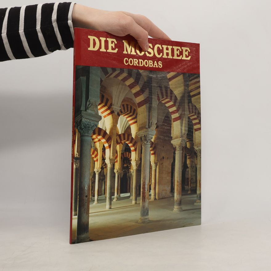 Manuel Salcines López Die Moschee Cordobas
