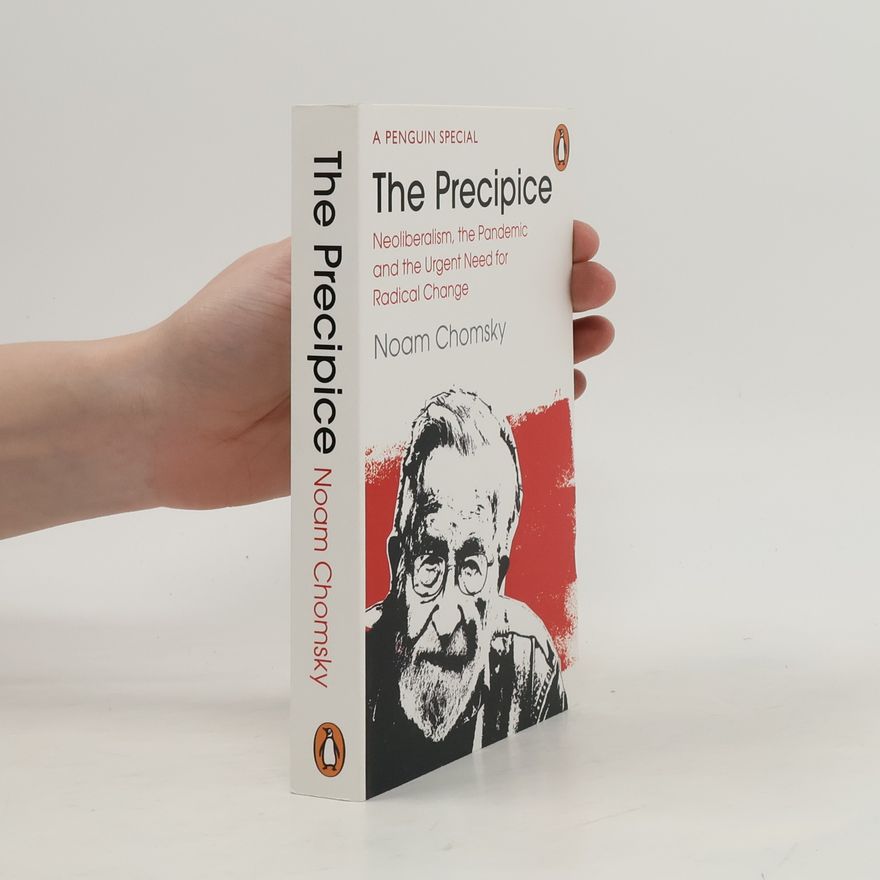 Noam Chomsky The Precipice