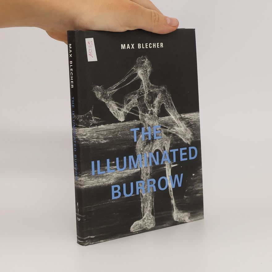 Max Blecher The Illuminated Burrow