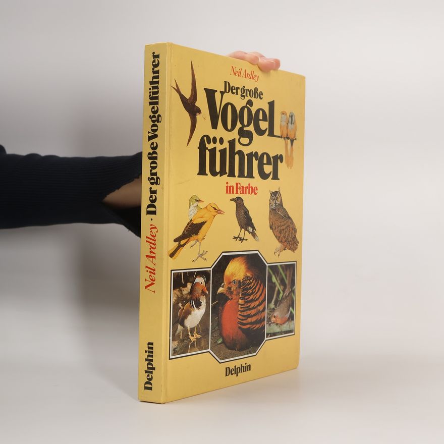 Neil Ardley Der grosse Vogelführer in Farbe