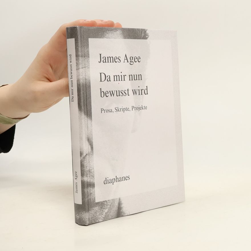 James Paul Gee Da mir nun bewusst wird