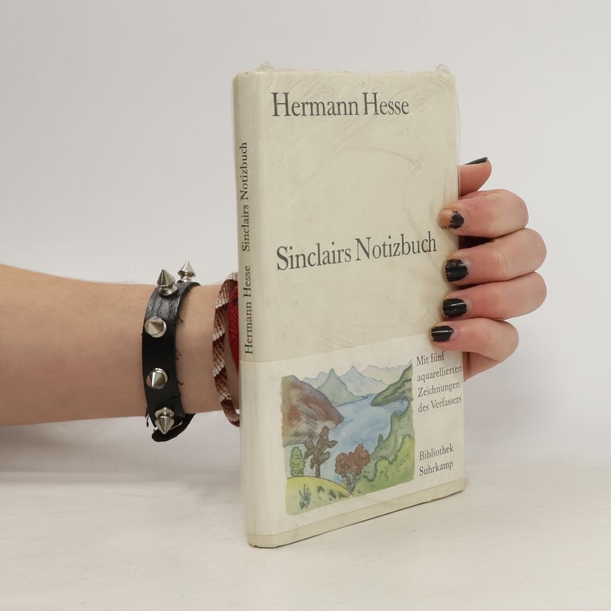 Hermann Hesse Sinclairs Notizbuch