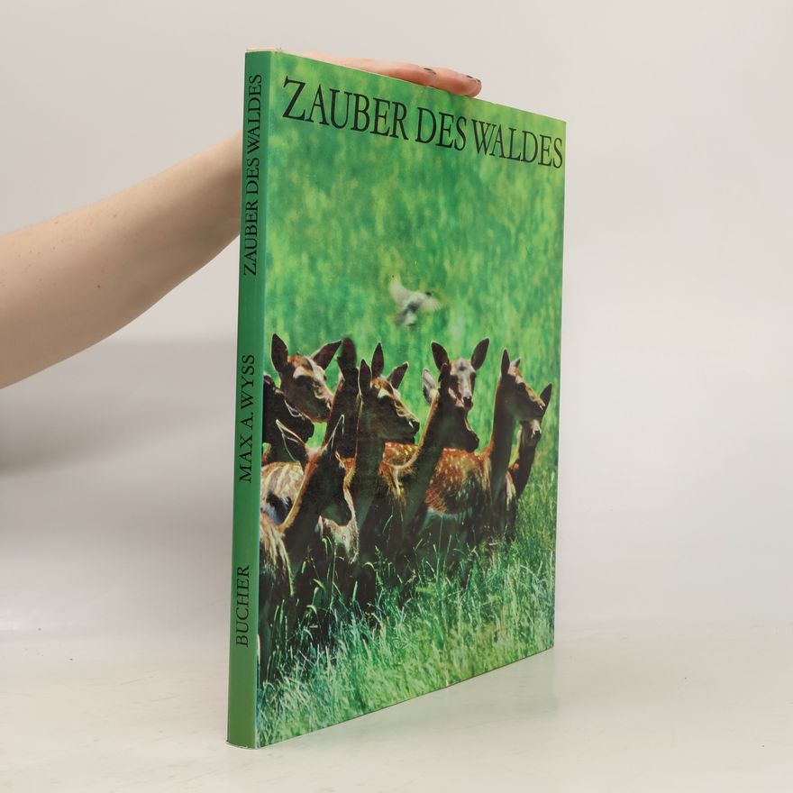 Max Albert Wyss Zauber des Waldes