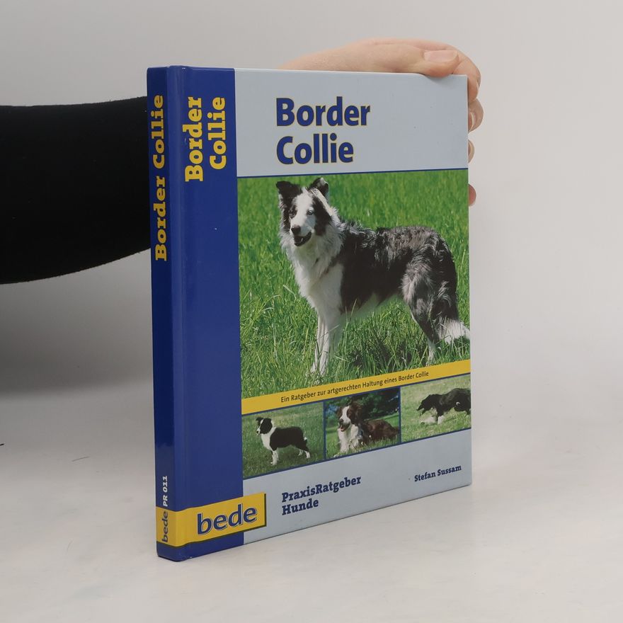 Stephen Sussam Border Collie