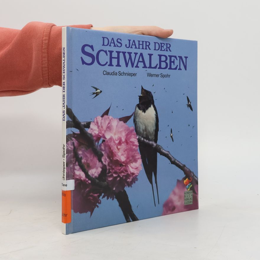 Werner Spohr Das Jahr der Schwalben