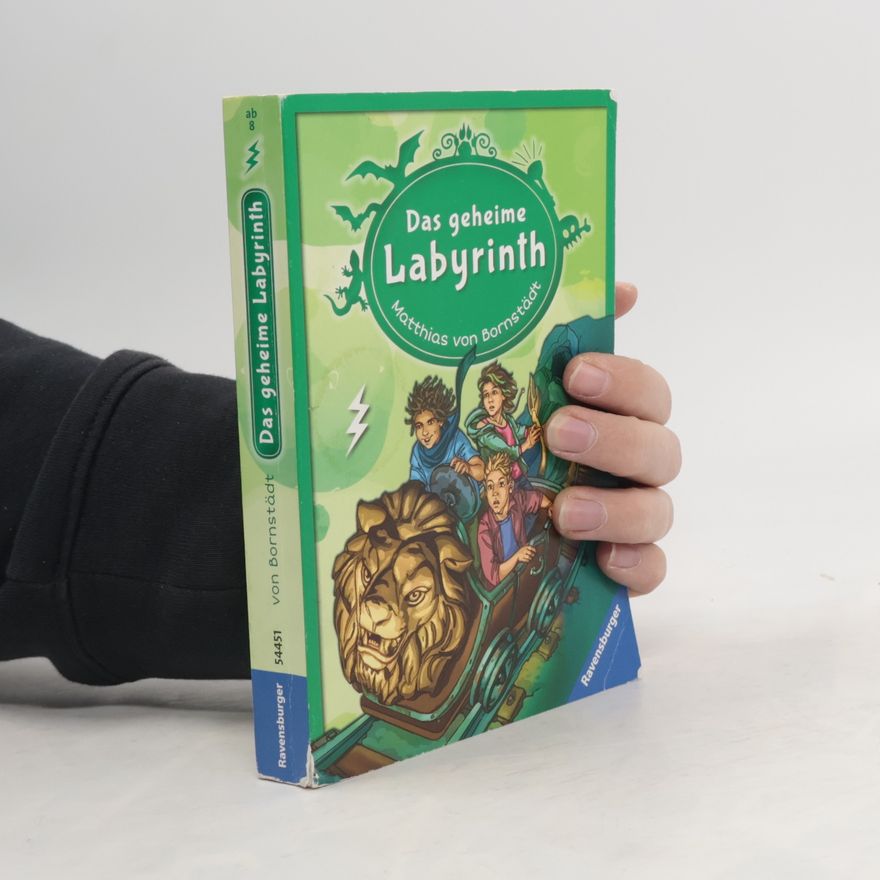 Matthias von Bornstädt Das geheime Labyrinth