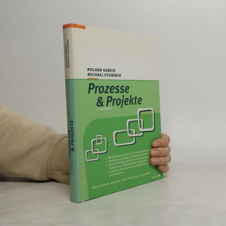 Michael Stummer Prozesse & Projekte