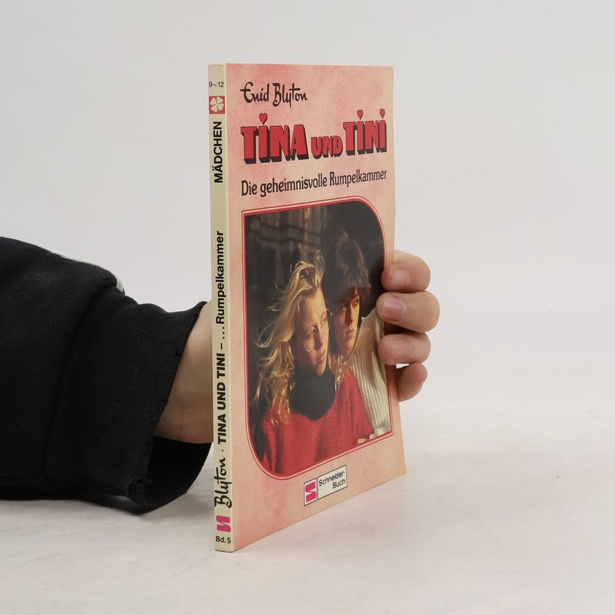 Enid Blyton Tina und Tini. Die geheimnisvolle Rumpelkammer