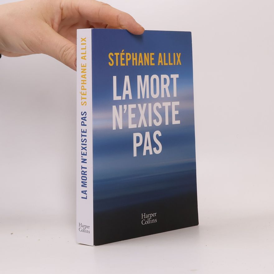 Stéphane Allix La mort n'existe pas