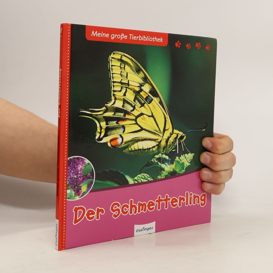Patrick Lorne Der Schmetterling
