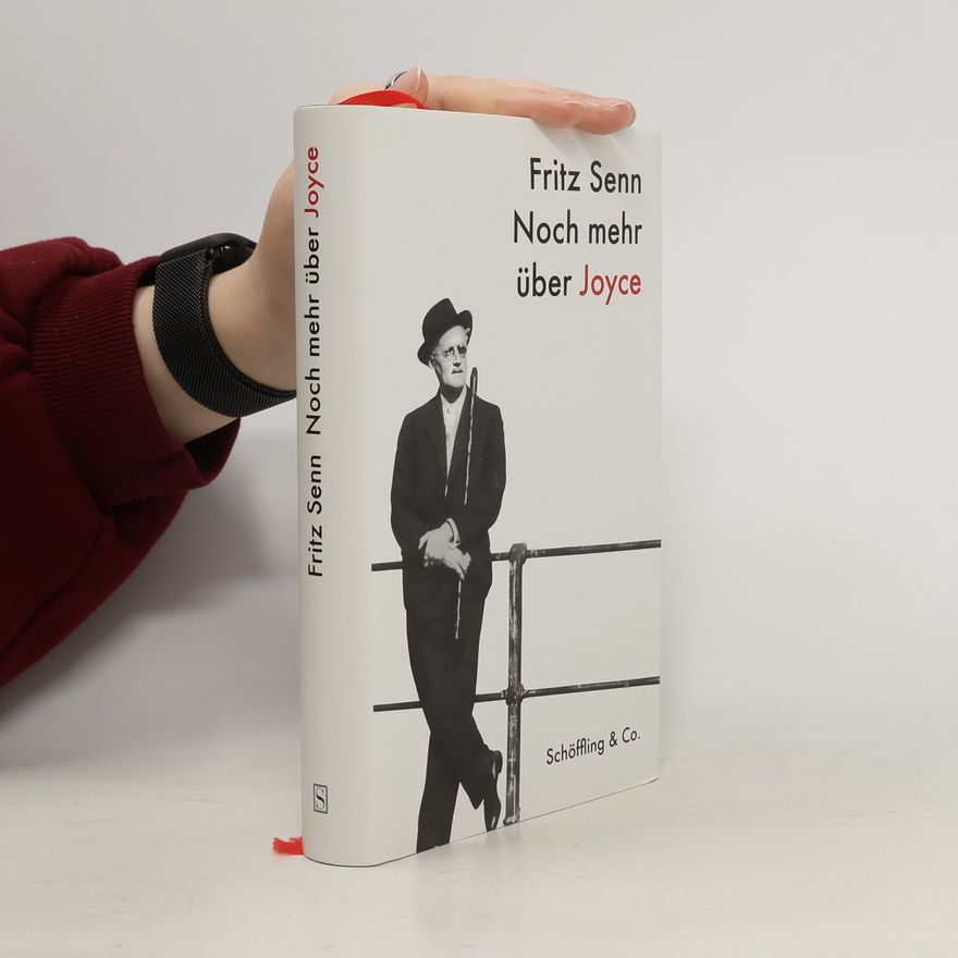 Fritz Senn Noch mehr über Joyce