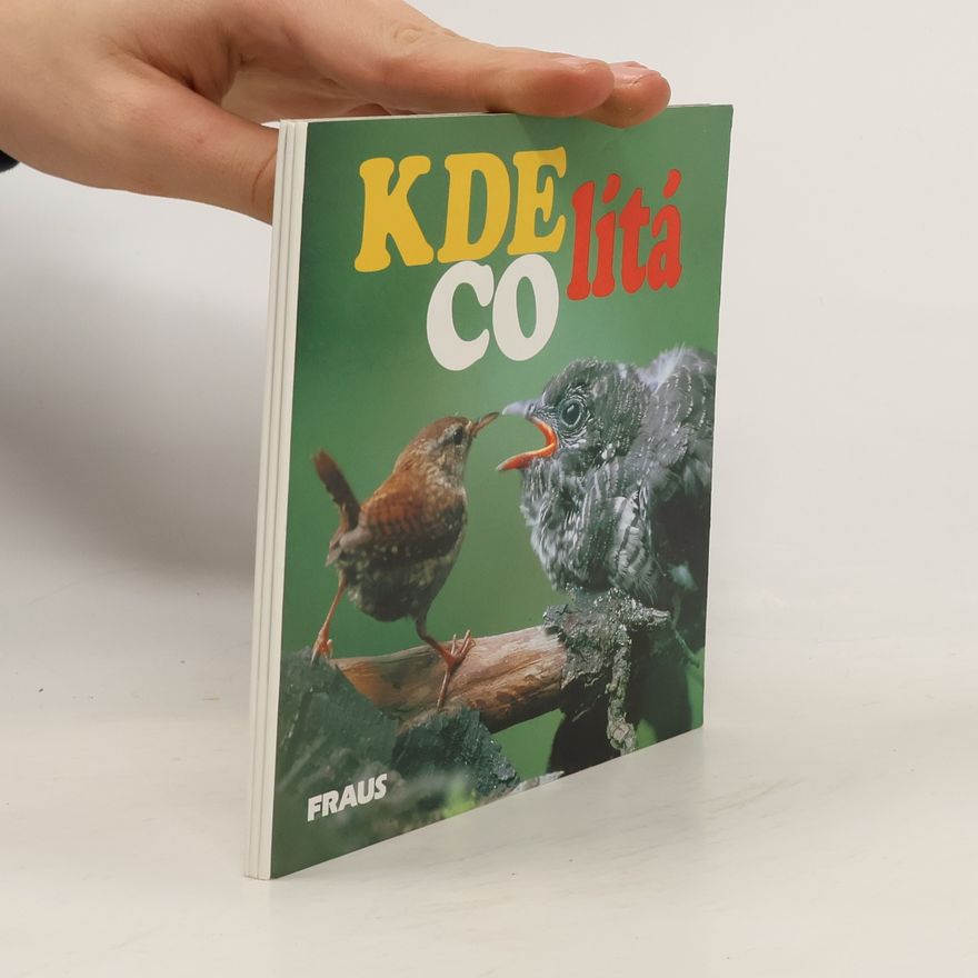 Dana Šedová Kde co lítá