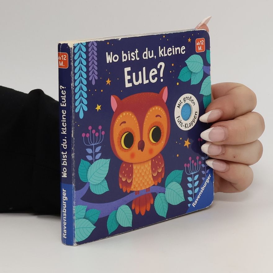 Klara Tünner Wo bist du, kleine Eule?