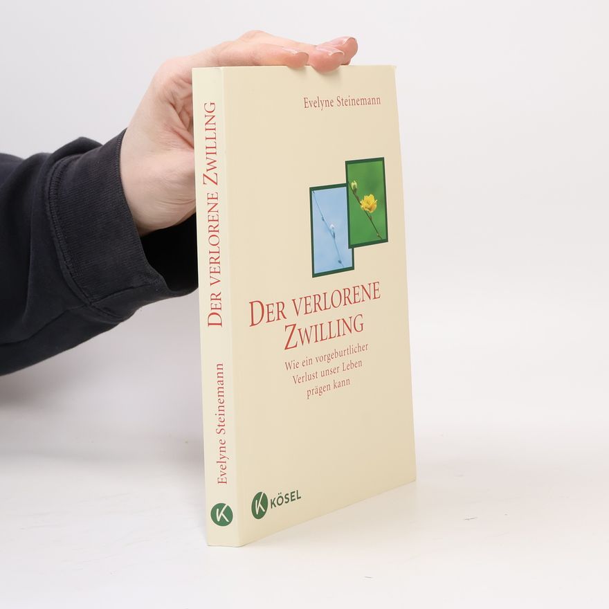 Evelyne Steinemann Der verlorene Zwilling