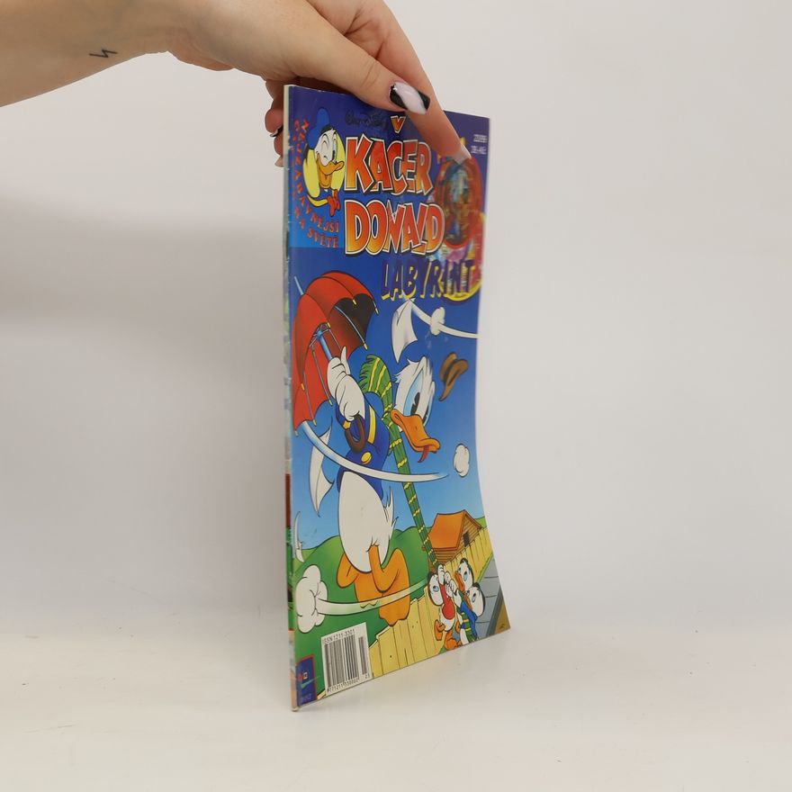 Walt Disney Kačer Donald. Labyrint