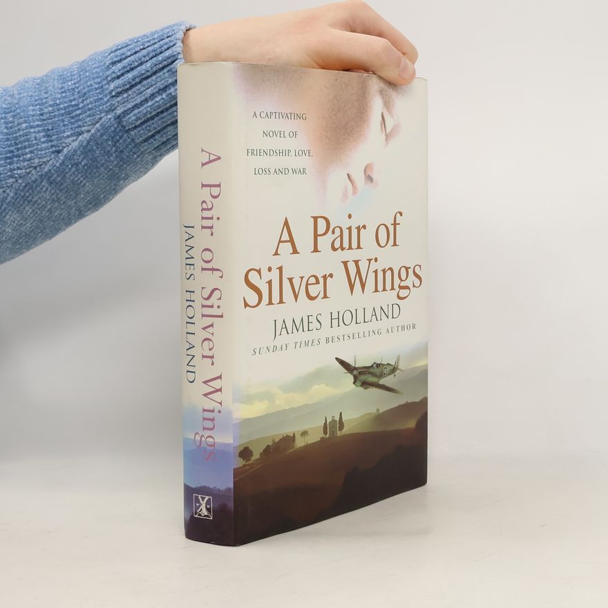 James Holland Pair of Silver Wings