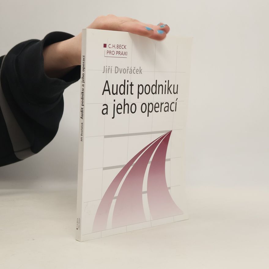 Jiří Dvořáček Audit podniku a jeho operací