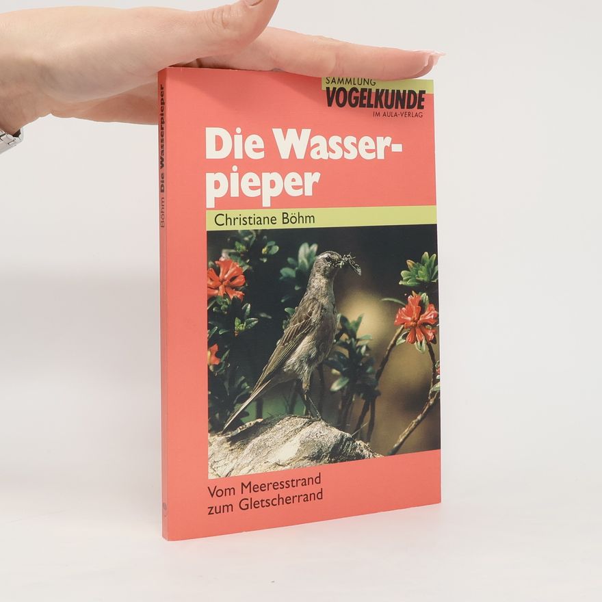 Christiane Böhm Die Wasserpieper