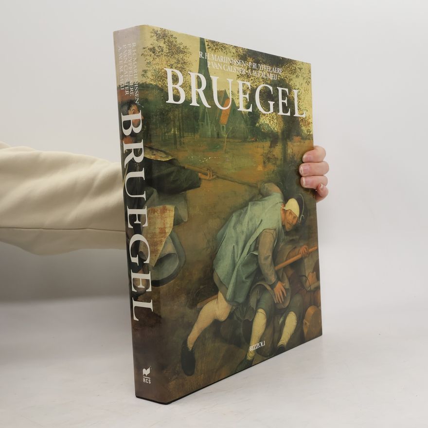Roger Marijnissen Bruegel