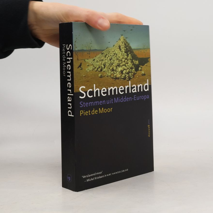 Piet de Moor Schemerland