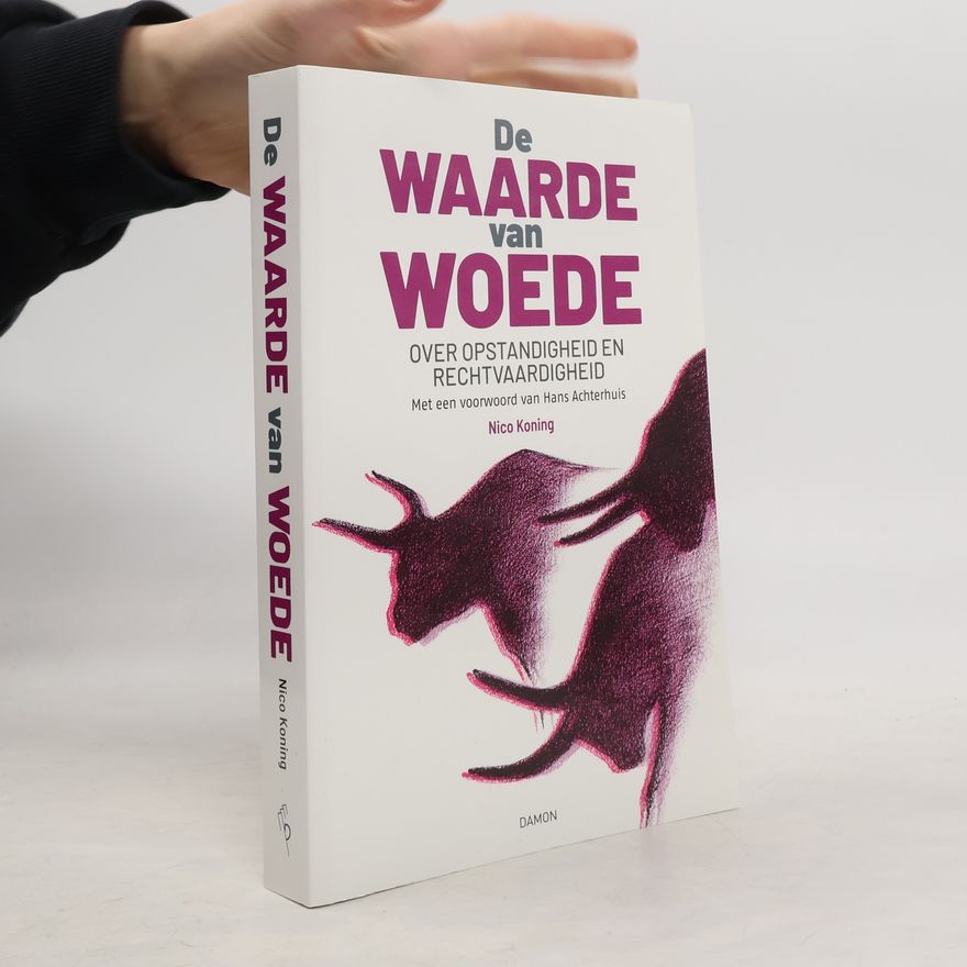 Nico Koning De waarde van woede