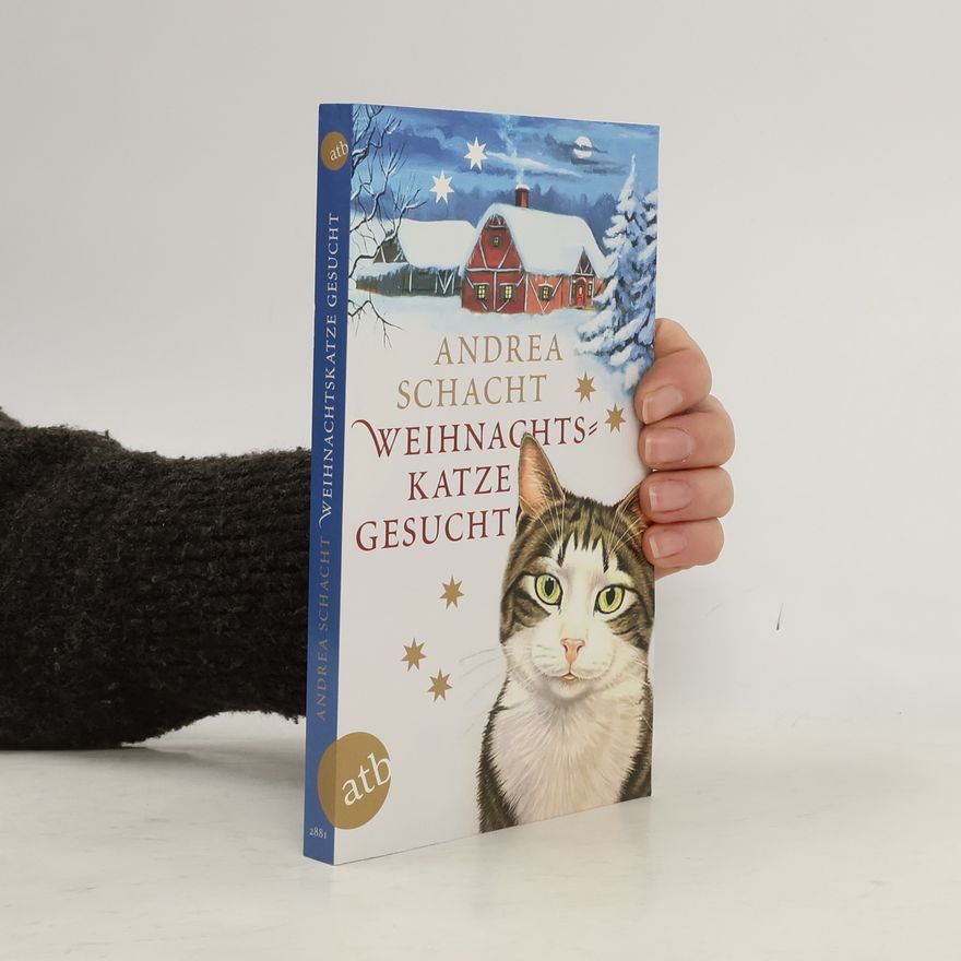Andrea Schacht Weihnachtskatze gesucht