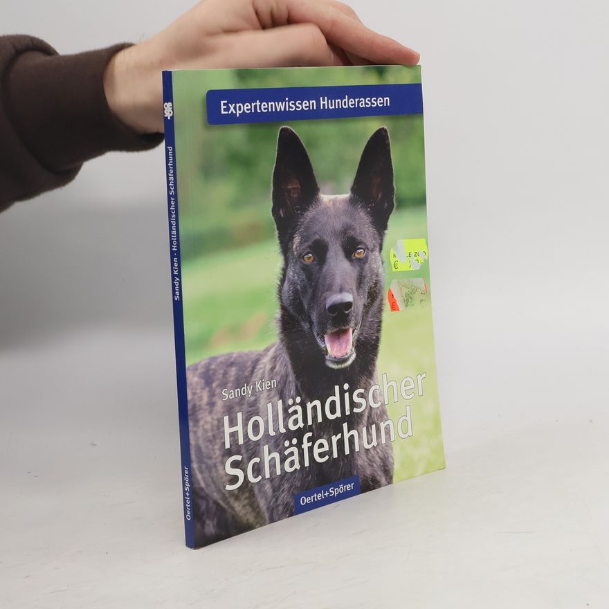 Sandy Kien Holländischer Schäferhund