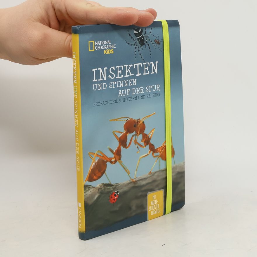 Autorenkollektiv Insekten und spinnen auf der Spur