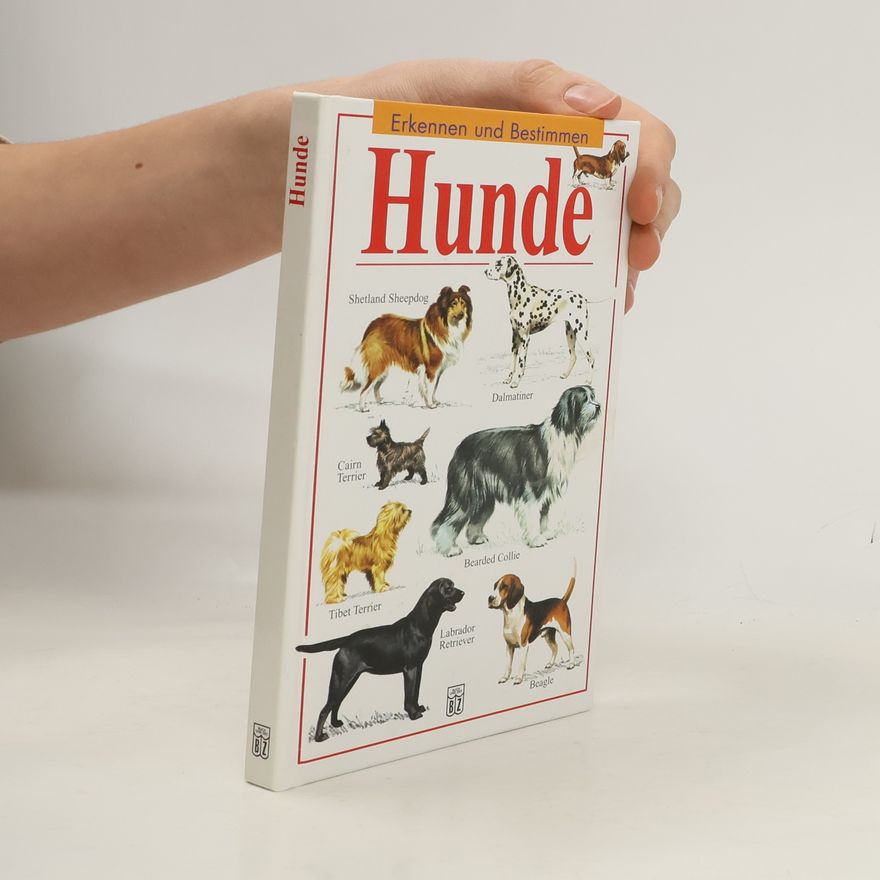Wendy Boorer Hunde