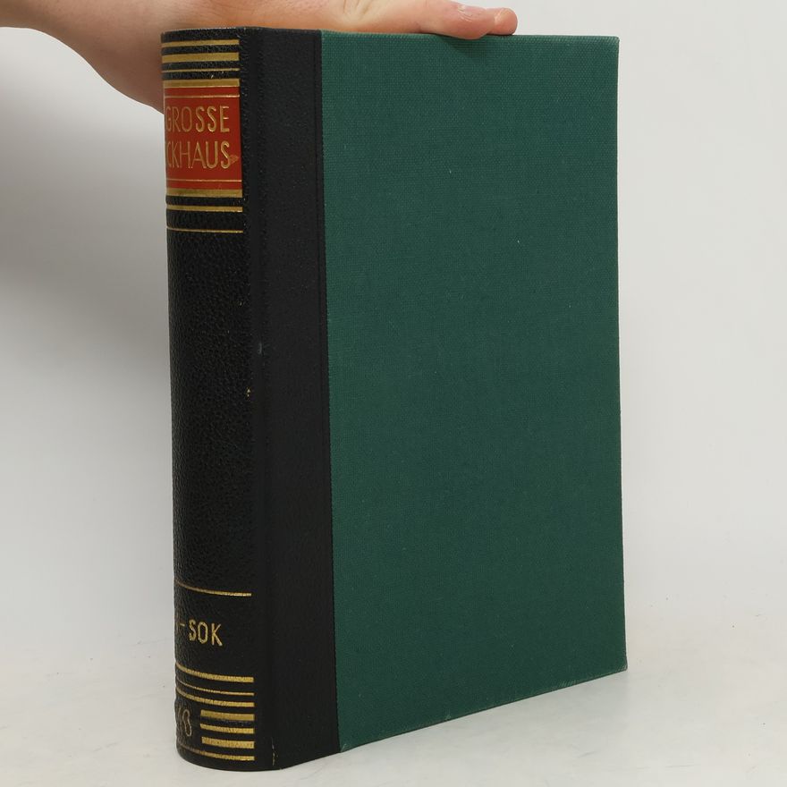 Auteurscollectief Der grosse Brockhaus 10. Rin-Sok