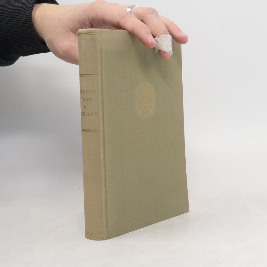 Theodor Storm Novellen II