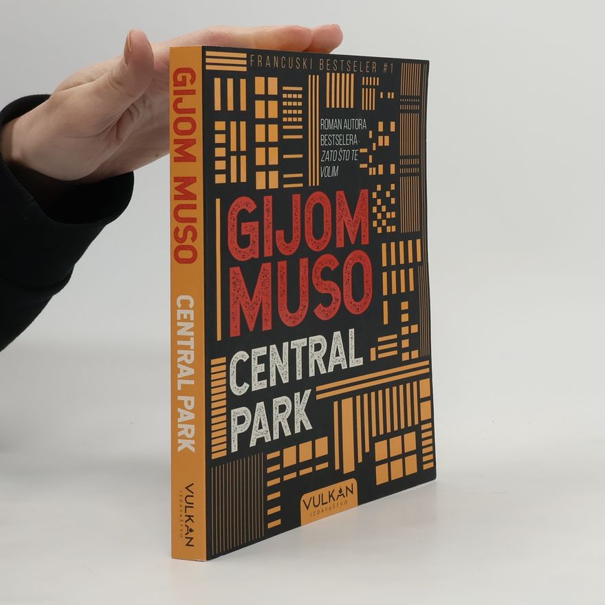 Guillaume Musso Central Park