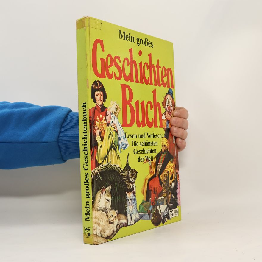 Autorenkollektiv Mein großes Geschichten Buch