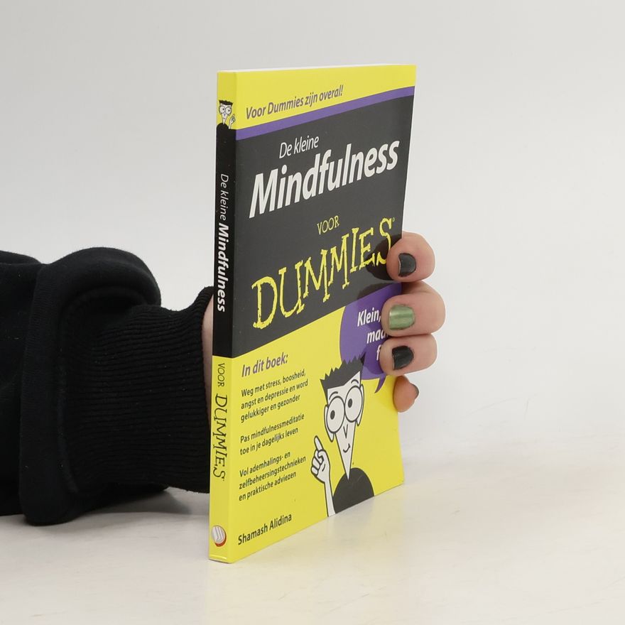 Shamash Alidina De kleine mindfulness voor dummies - Druk 6