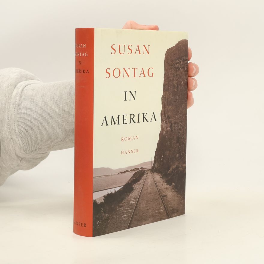 Susan Sontag In Amerika
