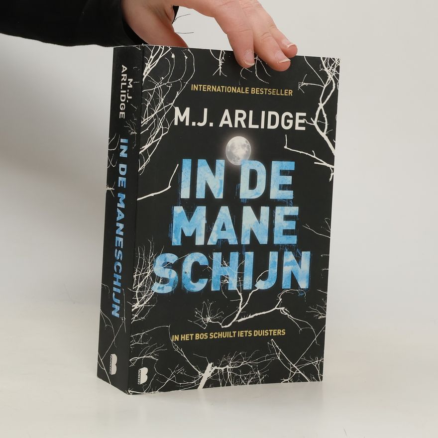 M. J. Arlidge In de maneschijn