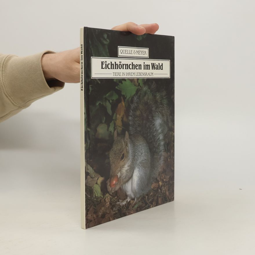 Jennifer Coldrey Eichhörnchen im Wald