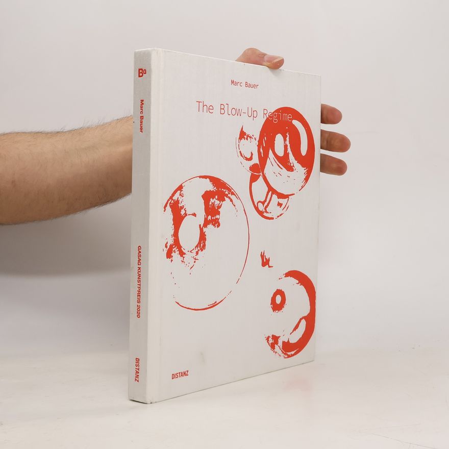 Marc Bauer The Blow-Up Regime