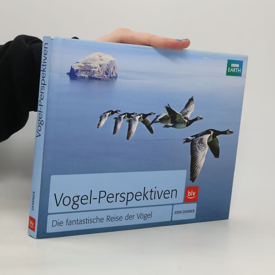 John Downer Vogel-Perspektiven