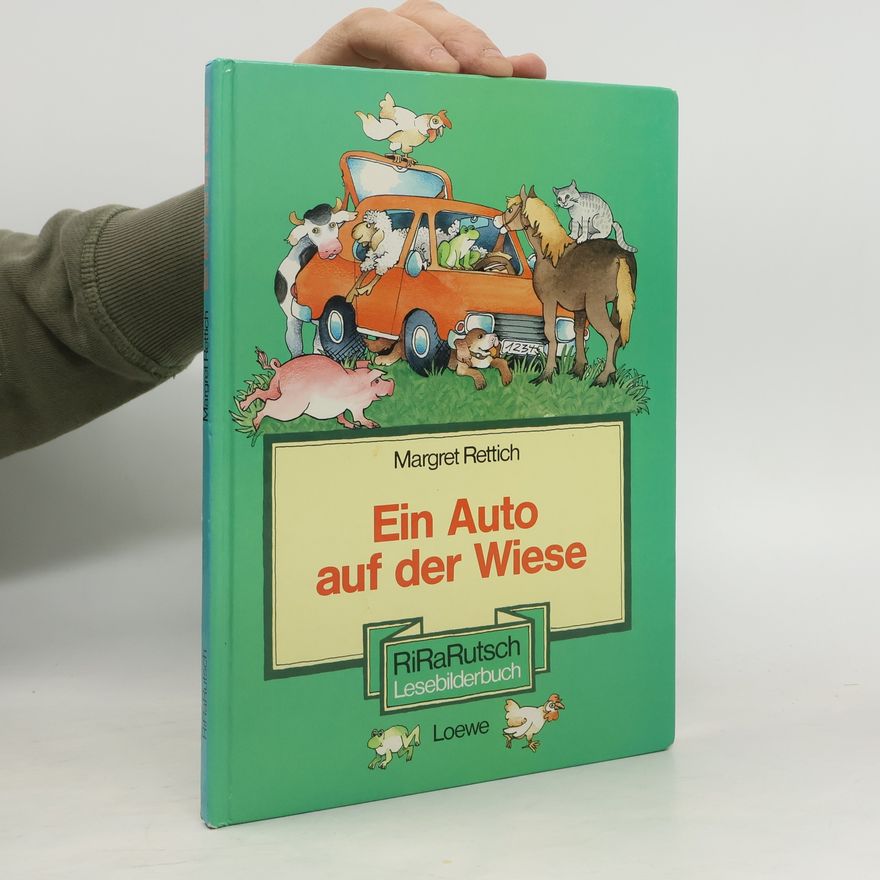 Margret Rettich Ein Auto auf der Wiese