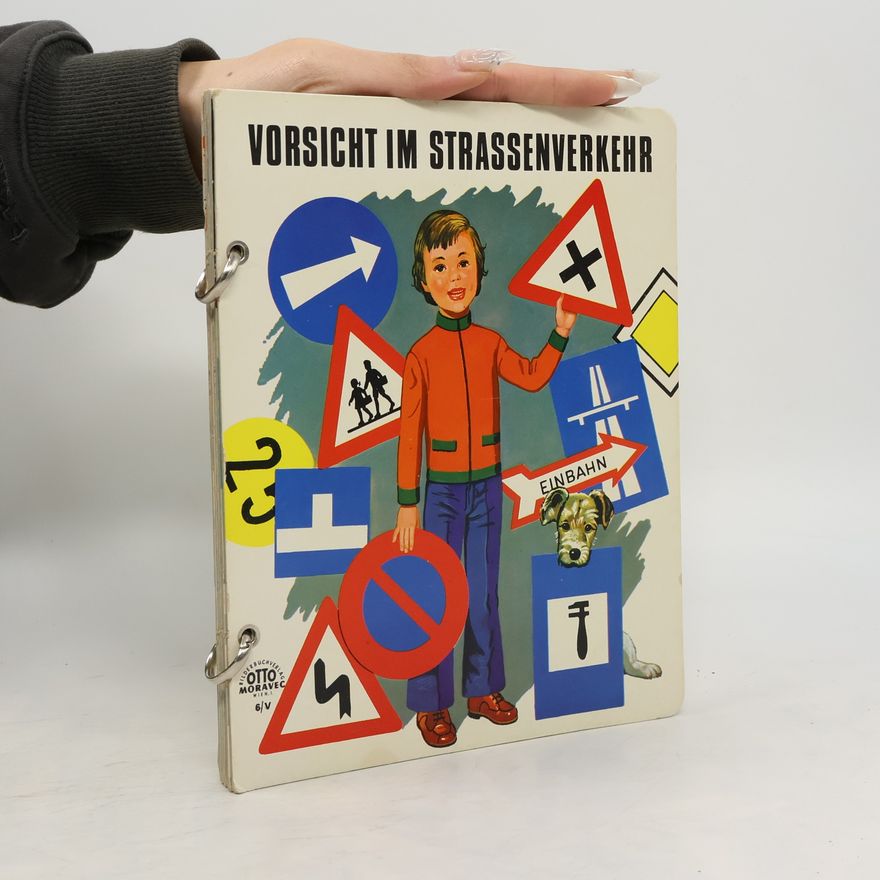 Kolektív autorov Vorsicht im Strassenverkehr