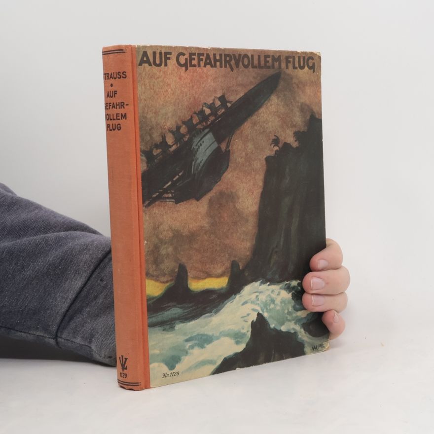 Fritz Strauss Auf gefahrvollem Flug