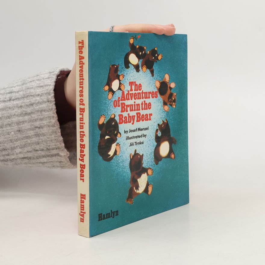 Various authors The Adventures of Bruin the Baby Bear