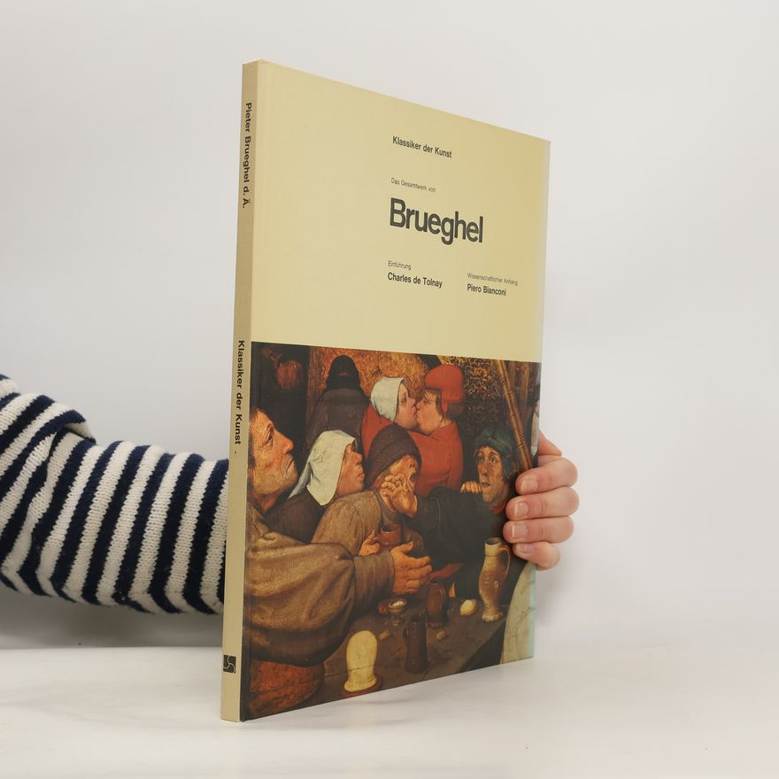Piero Bianconi Klassiker der Kunst. Brueghel