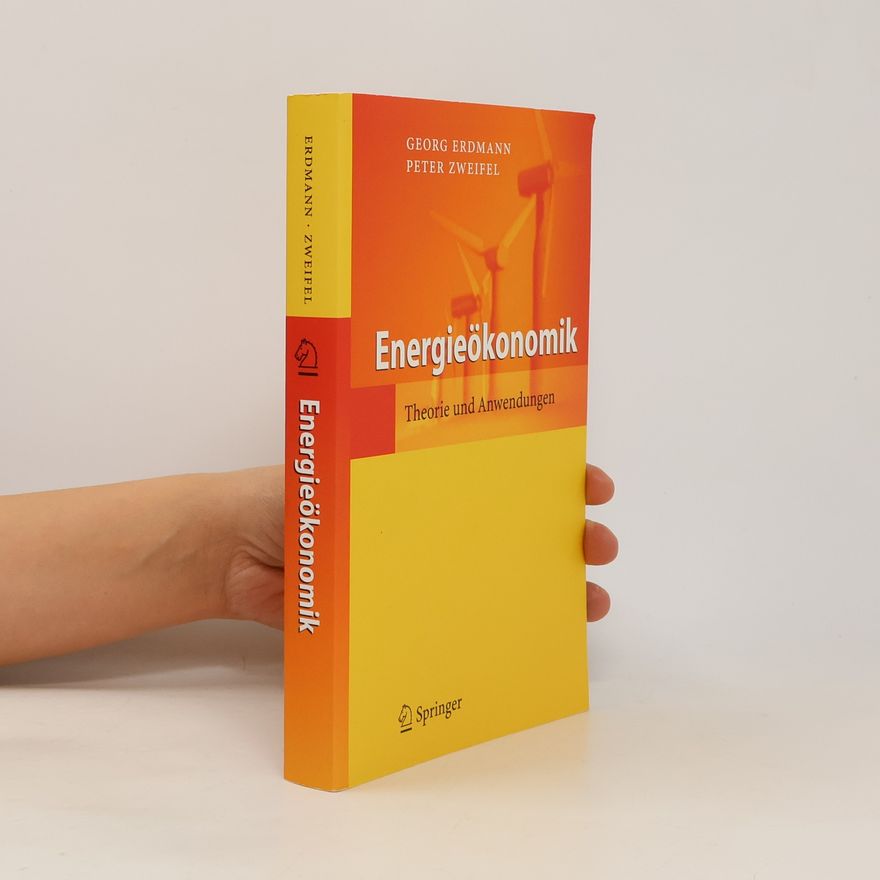 Georg Erdmann Energieökonomik