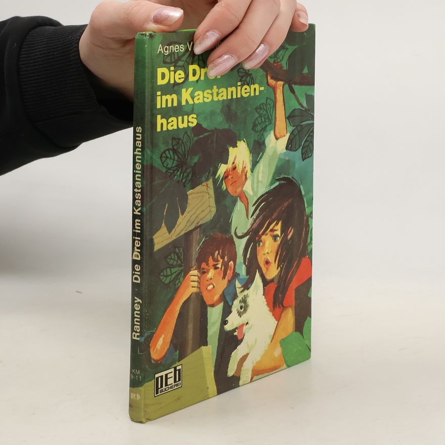 Agnes V. Ranney Die Drei im Kastanienhaus