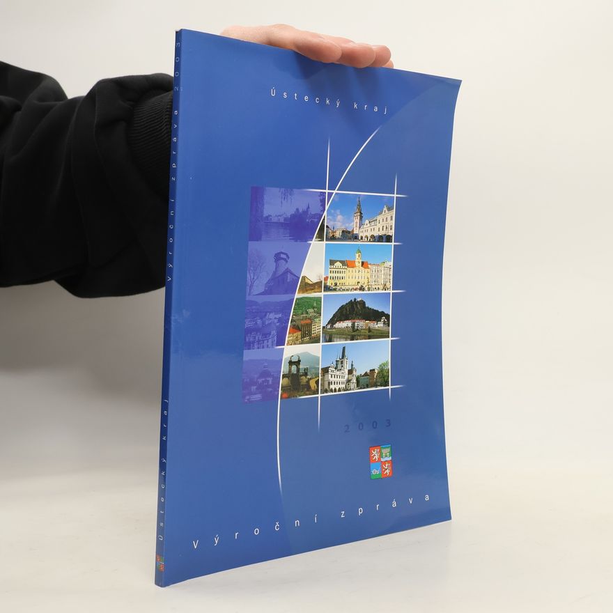 Kolektív autorov Ústecký kraj. Výroční zpráva 2003