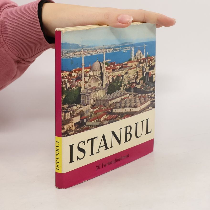 Autorenkollektiv Istanbul