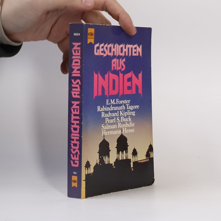 Autorenkollektiv Geschichten aus Indien