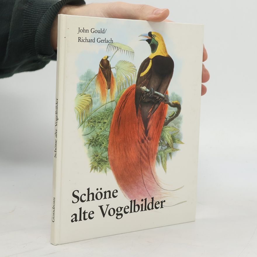 John Gould Schone alte Vogelbilder